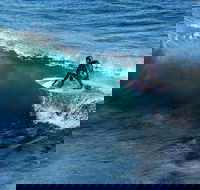 Great Ocean Road Highlights Tour - 2 Days 1 Night - Lismore Accommodation