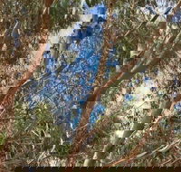 Kangaroo Island 4WD Tour - Best of KI in 2 Days - Lismore Accommodation