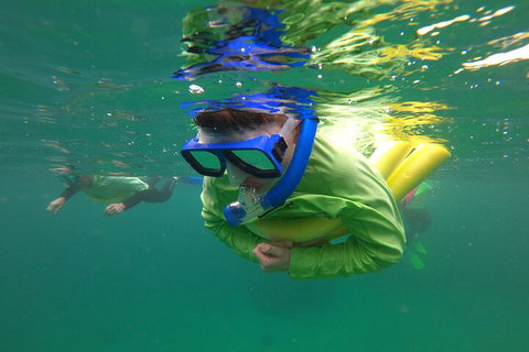 Manly Snorkel Trip And Nature Walk With Local Guide - Lismore Accommodation 5