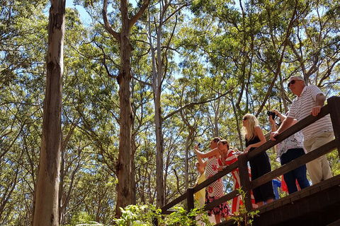 The All About Margaret River Tour: Wine, Coffee, Lunch And Forest - Lismore Accommodation 3