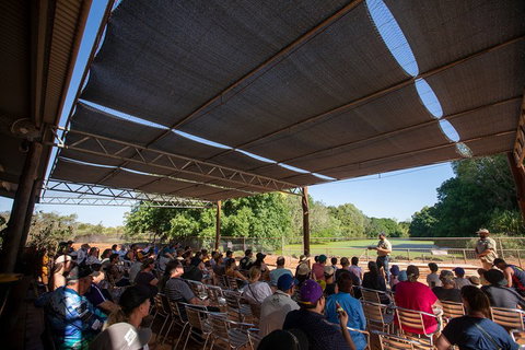 Malcolm Douglas Crocodile Park Tour Including Transportation - Lismore Accommodation 1