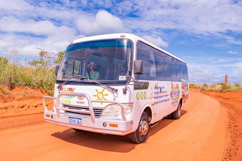 Malcolm Douglas Crocodile Park Tour Including Transportation - Lismore Accommodation 3