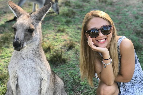 PJ Blue Mountains Supreme Day Tour - Lismore Accommodation 2