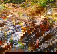 Full-day Springbrook National Park Tour from the Gold Coast - Lismore Accommodation