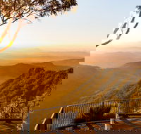 O'Reilly's  Lamington National Park incl. Alpaca Farm  Vineyard - Lismore Accommodation