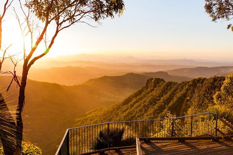 O'Reilly's & Lamington National Park Incl. Alpaca Farm + Vineyard - Lismore Accommodation 0