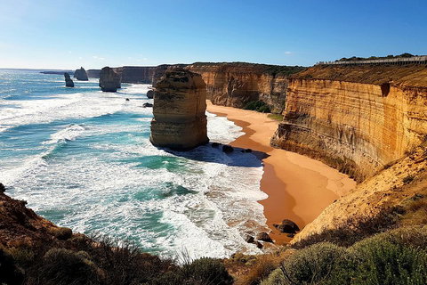 Helicopter Flight + Fine Dining Private Luxury Great Ocean Road Tour - Lismore Accommodation 4