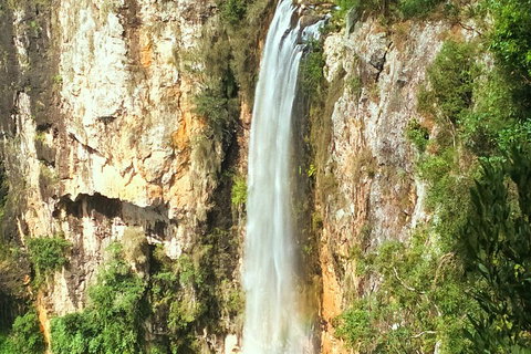 Natural Arch, Rainforest & Volcano Canyon - Private Half Day Tour - Lismore Accommodation 2