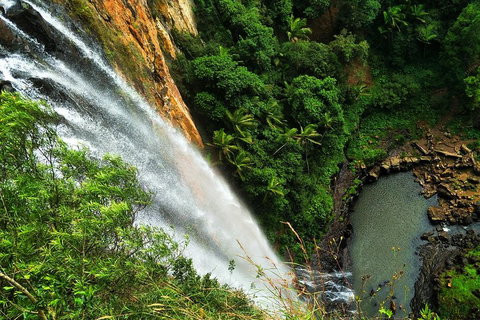 Natural Arch, Rainforest & Volcano Canyon - Private Half Day Tour - Lismore Accommodation 5