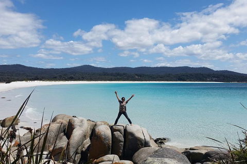 Tasmania 4 Day East Coast + Launceston - Lismore Accommodation 1