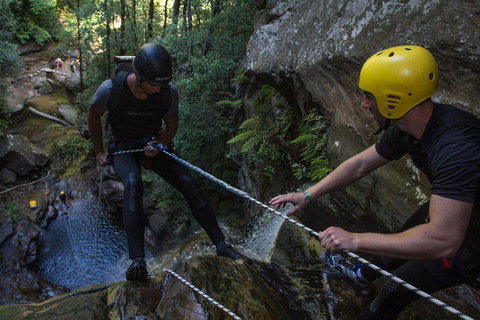 Blue Mountains Empress Canyon Adventure From Wentworth Falls - Lismore Accommodation 2