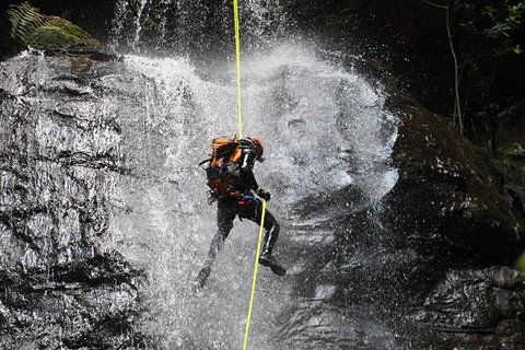 Blue Mountains Empress Canyon Adventure From Wentworth Falls - Lismore Accommodation 3