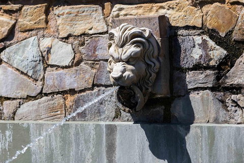 Adelaide 90-Minute Pedicab Tour: Scenic Green & River Experience - Lismore Accommodation 3