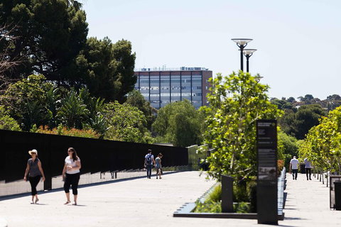 Adelaide 90-Minute Pedicab Tour: Scenic Green & River Experience - Lismore Accommodation 4