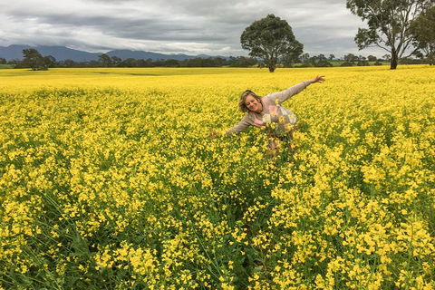 Grampians - Private Tour - Lismore Accommodation 3