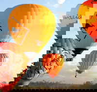 Natural Bridge  Springbrook Waterfalls Tour  Hot Air Balloon with Breakfast - Lismore Accommodation