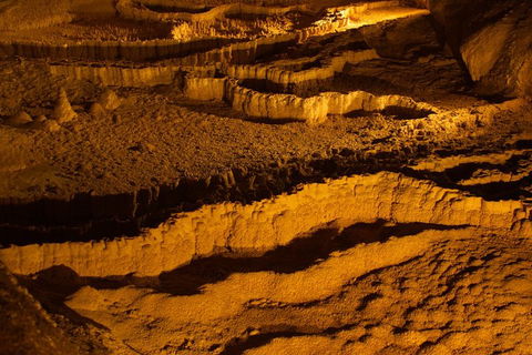 The Explorers' Discovery Tour - Gold, Wine & Wildlife - Lismore Accommodation 0