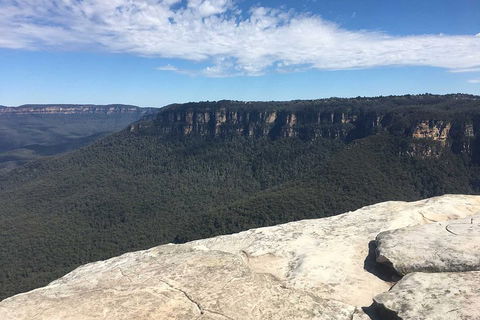 The Explorers' Discovery Tour - Gold, Wine & Wildlife - Lismore Accommodation 1
