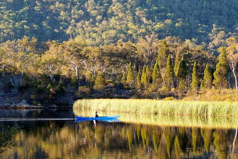 The Explorers' Discovery Tour - Gold, Wine & Wildlife - Lismore Accommodation 2
