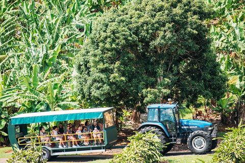 Northern Rivers Full Day Wine Tour - Lismore Accommodation 1