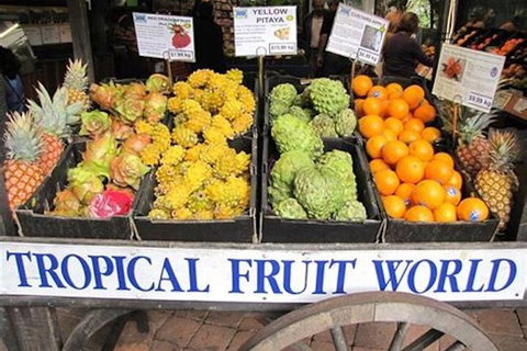 Northern Rivers Full Day Wine Tour - Lismore Accommodation 3