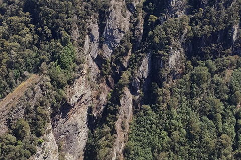 Leven Canyon Day Trip Including Wings Wildlife Park Or Gunns Plains Caves - Lismore Accommodation 0