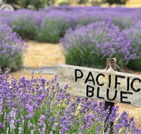 Kangaroo Island Food and Wine Trail Tour - Lismore Accommodation