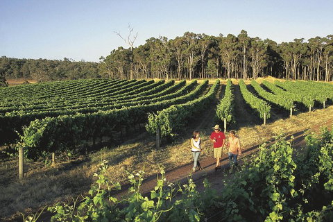 Margaret River, Caves, Wine And Cape Leeuwin Lighthouse Tour From Perth - Lismore Accommodation 1