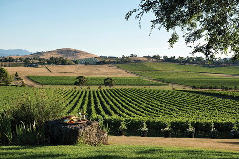 Small Group 6 Guests: Ultimate Yarra Valley Food And Wine - Mercedes Van - Lismore Accommodation 4