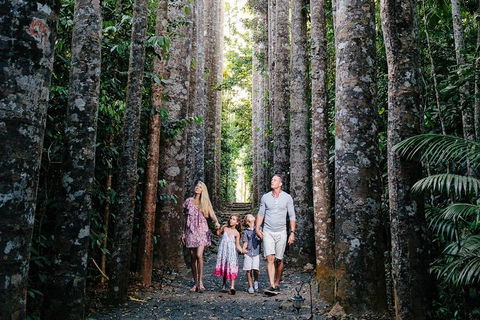The Original Day Tour To Paronella Park, Lake Barrine And Millaa Millaa Falls - Lismore Accommodation 1