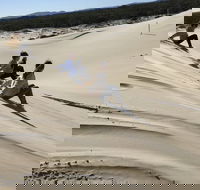 Port Stephens Bush Beach and Sand Dune 4WD Tag-Along Tour - Lismore Accommodation