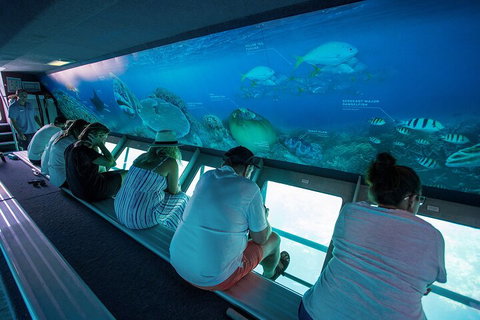 Great Barrier Reef Day Cruise To Reefworld - Lismore Accommodation 0
