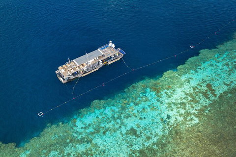 Great Barrier Reef Day Cruise To Reefworld - Lismore Accommodation 2