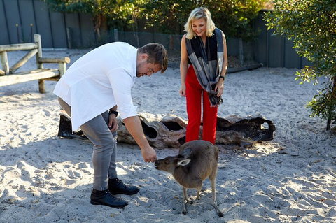 Albany's Whale Story - Lismore Accommodation 1