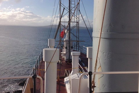 Albany's Whale Story - Lismore Accommodation 2