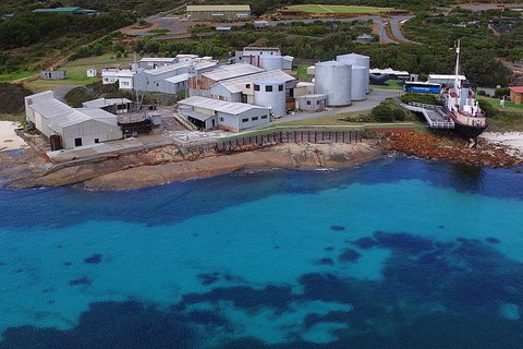 Albany's Whale Story - Lismore Accommodation 4