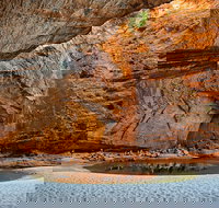 Bungle Bungle Explorer - Lismore Accommodation