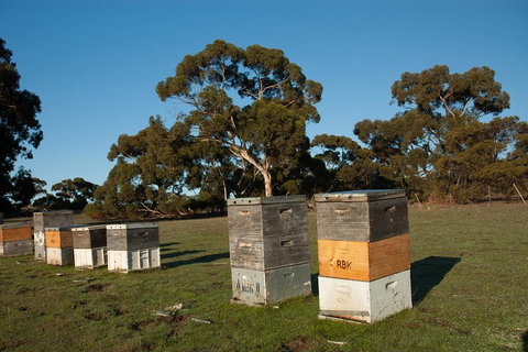 Fine Flavours - Full Day Kangaroo Island Food & Wine Tour - Lismore Accommodation 1