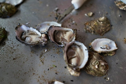 Fine Flavours - Full Day Kangaroo Island Food & Wine Tour - Lismore Accommodation 2