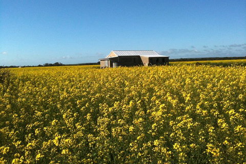 Fine Flavours - Full Day Kangaroo Island Food & Wine Tour - Lismore Accommodation 3