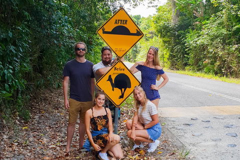 Cape Tribulation, Daintree Rainforest And Wildlife Tour - Lismore Accommodation 0