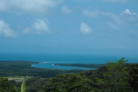 Cape Tribulation, Daintree Rainforest And Wildlife Tour - Lismore Accommodation 1