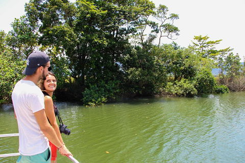 Cape Tribulation, Daintree Rainforest And Wildlife Tour - Lismore Accommodation 2