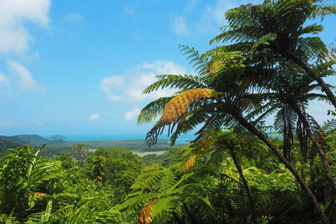 Cape Tribulation, Daintree Rainforest And Wildlife Tour - Lismore Accommodation 3
