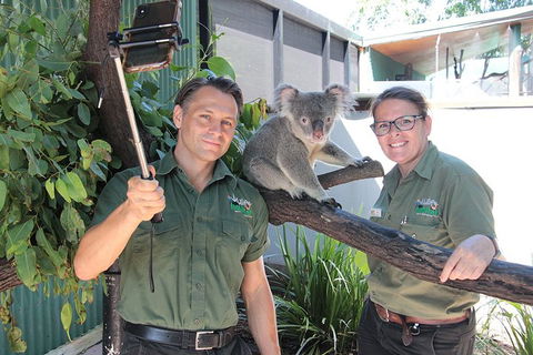 Virtual Interactive Australian Wildlife Tour With Private Guide-Wildlife Habitat - Lismore Accommodation 0