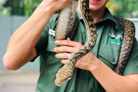 Virtual Interactive Australian Wildlife Tour With Private Guide-Wildlife Habitat - Lismore Accommodation 1