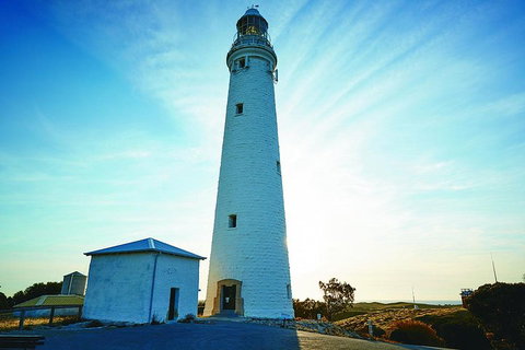 Rottnest Bayseeker Bus Tour From Hillarys Boat Harbour - Lismore Accommodation 2