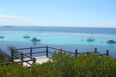 Rottnest Bayseeker Bus Tour From Hillarys Boat Harbour - Lismore Accommodation 3