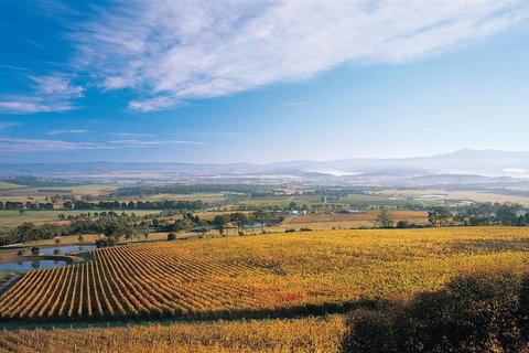 Melbourne City Tour And Half Day Yarra Valley In One Day - Lismore Accommodation 5