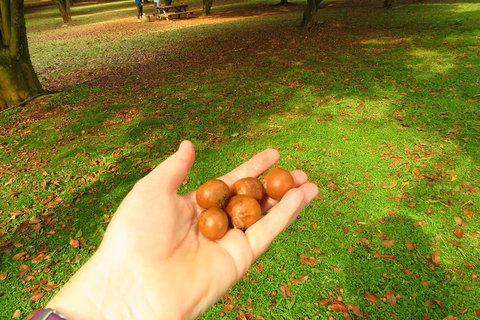 3-Hour Small-Group Byron Bay Tour - Lismore Accommodation 2